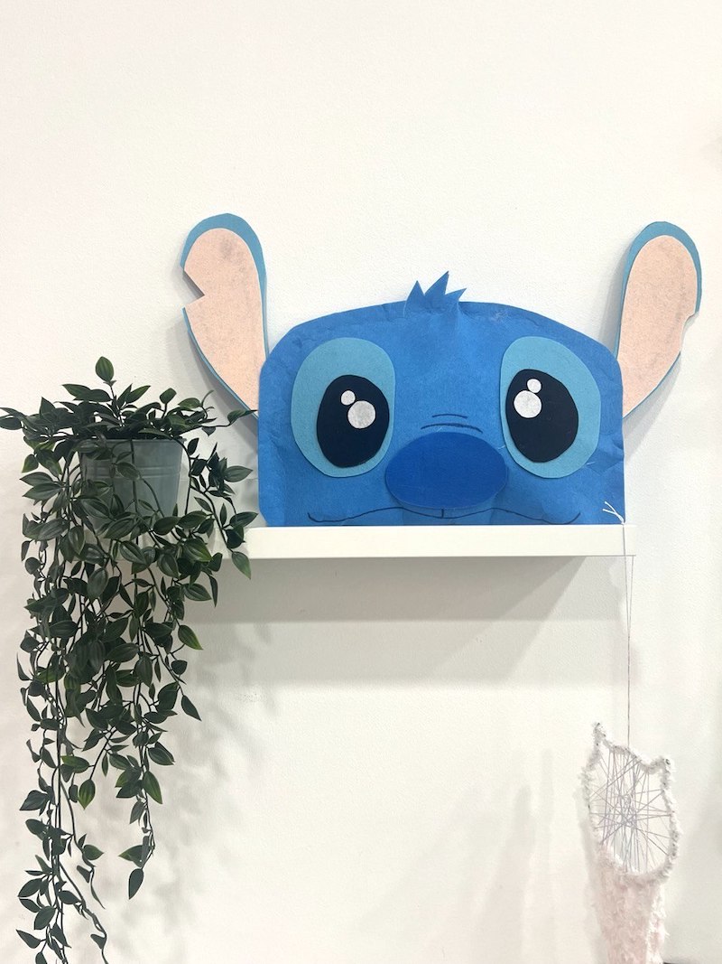 Cojin Stich